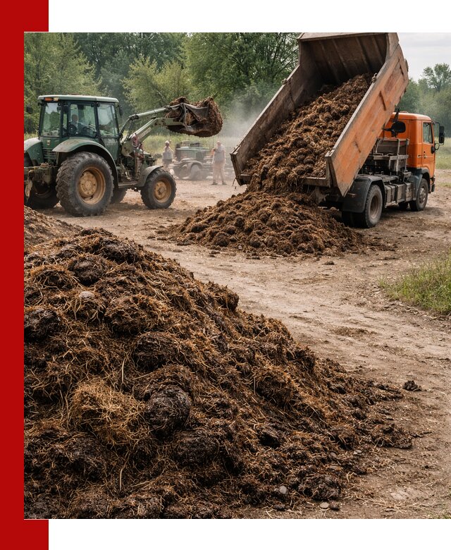 Доставка навоза самосвалами в Прохладном для сельхозпотребностей