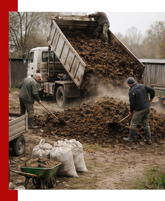 Доставка коровьего навоза самосвалом в Прохладном